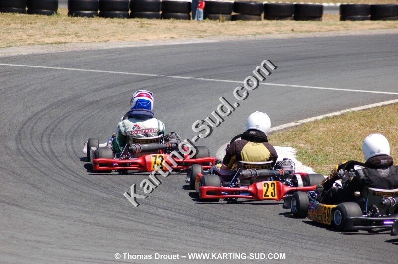 DSC_0398 (2).JPG